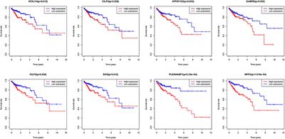 Prognostic Nomogram of Prognosis-Related Genes and Clinicopathological Characteristics to Predict the 5-Year Survival Rate of Colon Cancer Patients